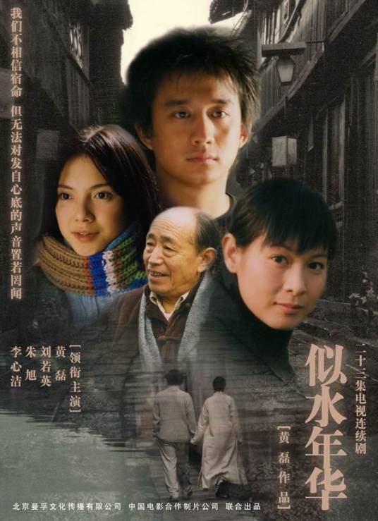 似水年华（2003年黄磊自导自演的爱情电视剧）