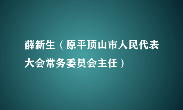 薛新生（原平顶山市人民代表大会常务委员会主任）