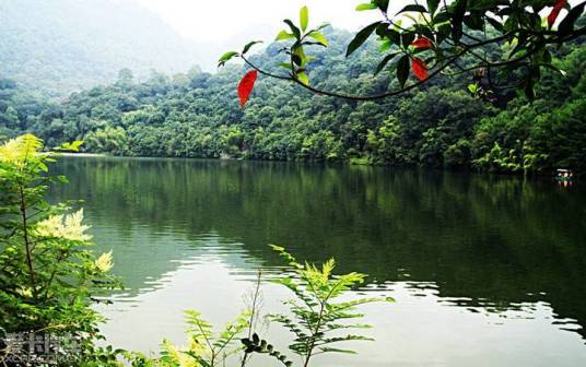 华阳山（福建省顺昌县华阳山）