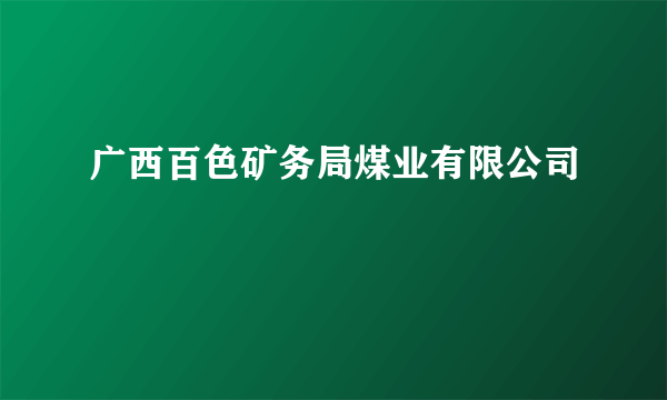 广西百色矿务局煤业有限公司