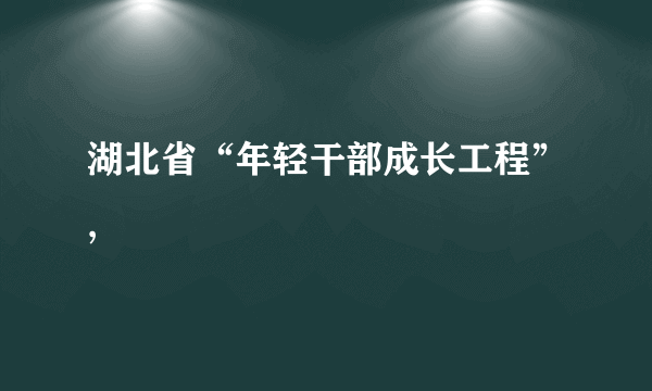 湖北省“年轻干部成长工程”,