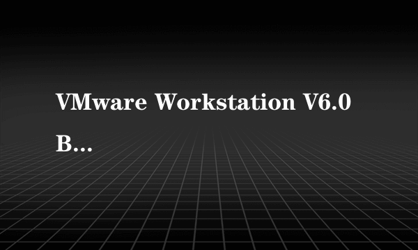 VMware Workstation V6.0 Build 44426