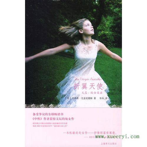 折翼天使（2010年上海译文出版社出版的图书）