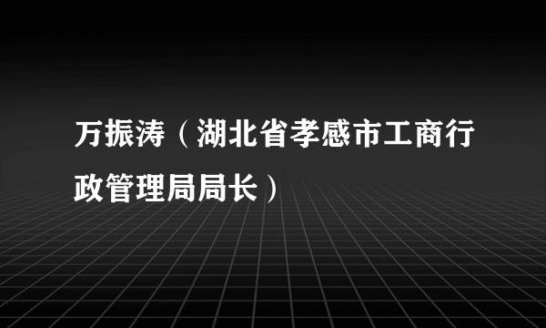 万振涛（湖北省孝感市工商行政管理局局长）