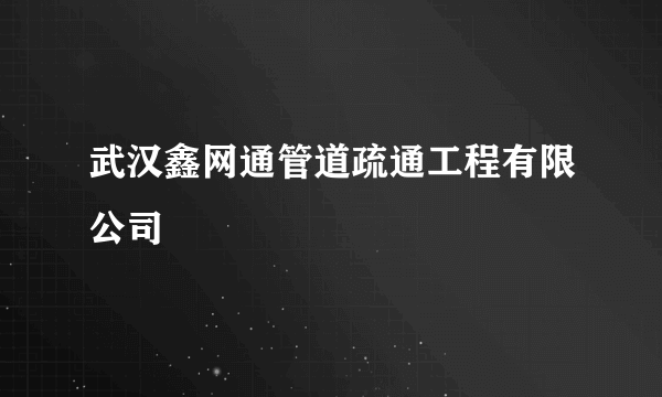 武汉鑫网通管道疏通工程有限公司