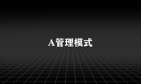 A管理模式