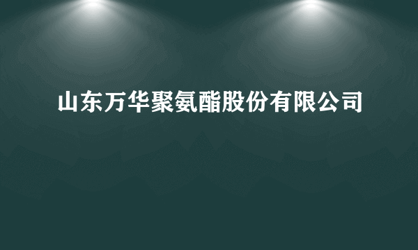 山东万华聚氨酯股份有限公司