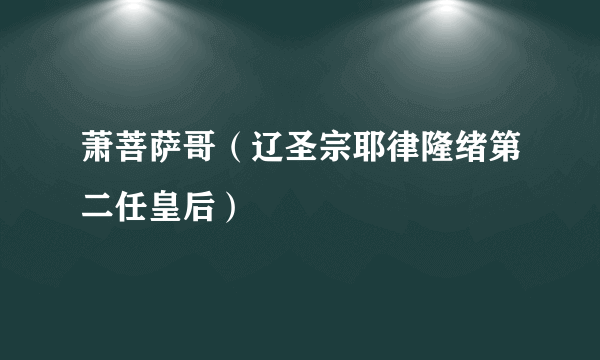 萧菩萨哥（辽圣宗耶律隆绪第二任皇后）