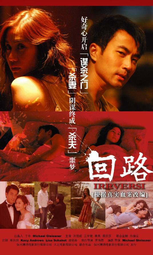 回路（2009年盖霖泽执导的惊悚电影）