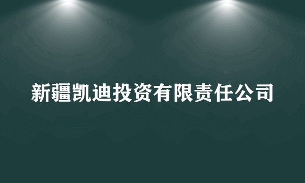 新疆凯迪投资有限责任公司